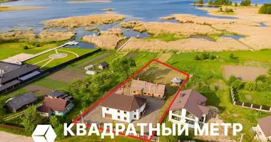 Cottage in Pliuski sielski Saviet, Belarus