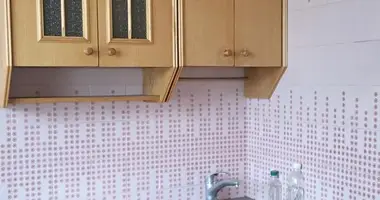 2 room apartment in Minsk, Belarus