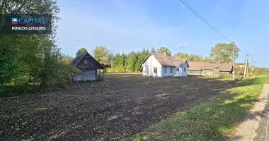Maison dans Sniuraiciai, Lituanie