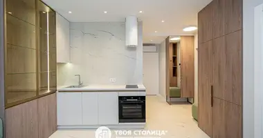 3 bedroom apartment in Minsk, Belarus