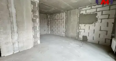 1 room apartment in Minsk, Belarus