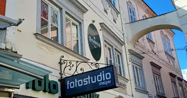 Инвестиционная 1 м² в Винер-Нойштадт, Австрия