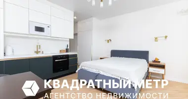 1 room apartment in Minsk, Belarus