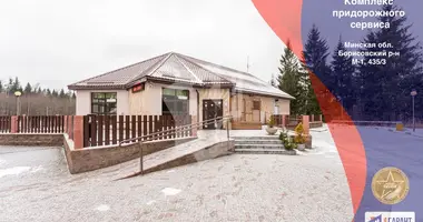 Restaurant 241 m² dans Hlivinski sielski Saviet, Bélarus