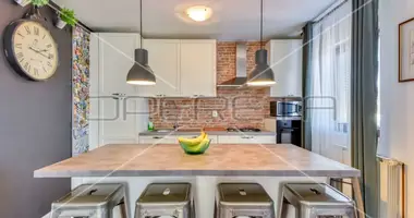 Haus 4 zimmer in Stadt Zagreb, Kroatien