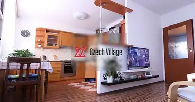 Квартира 4 комнаты в Столица Прага, Чехия