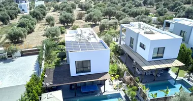Villa 3 habitaciones en Agios Epiktitos, Chipre del Norte