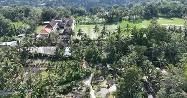 Hotel w Ubud, Indonezja
