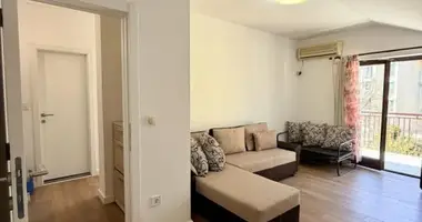 Apartamento 1 habitacion en Boreti, Montenegro