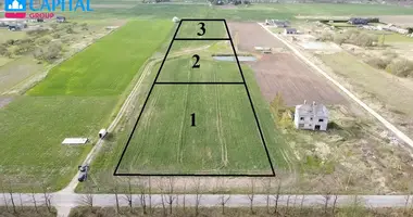 Terrain dans Kampiskiai, Lituanie