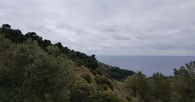 Terrain dans Kassandra Municipality, Grèce
