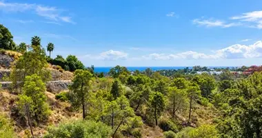 Appartement 3 chambres dans Benahavis, Espagne