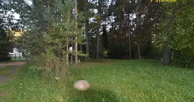 Plot of land in Hajnienski sielski Saviet, Belarus