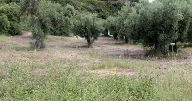 Участок земли в Aristotle Municipality, Греция