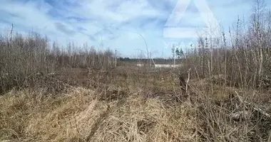 Участок земли в Раменский муниципальный округ, Россия