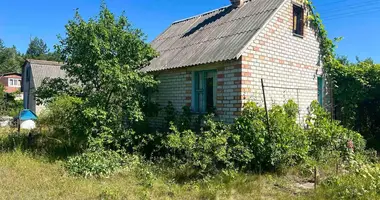 Maison dans Hacukouski sielski Saviet, Bélarus