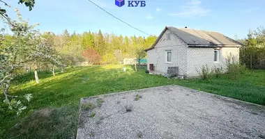 Dom w Lasanski sielski Saviet, Białoruś