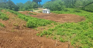 Terrain dans Sarpi, Géorgie