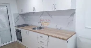 Квартира 1 комната в Черногория