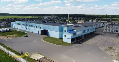 Zakład produkcyjny w Chvojniki, Białoruś