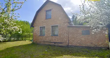 House in Nieharelski sielski Saviet, Belarus