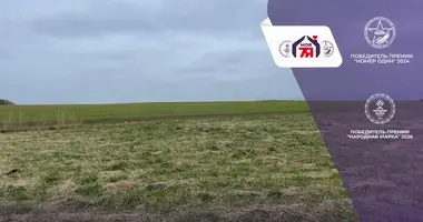 Участок земли в Смиловичский сельский Совет, Беларусь