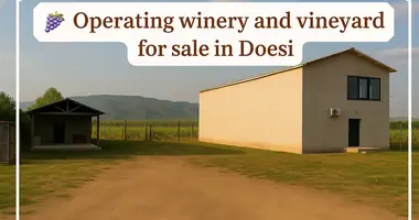 🍇 For Sale – Operating Winery and Vineyard dans Doesi, Géorgie