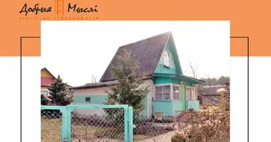 House in Babisca, Belarus