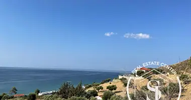 Producción en Moles Kalyves, Grecia