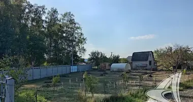 Plot of land in Znamienski sielski Saviet, Belarus