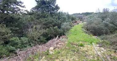 Parcela en Tsivaras, Grecia