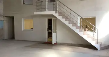 Коммерческое помещение 493 м² в Науйойи-Акмяне, Литва