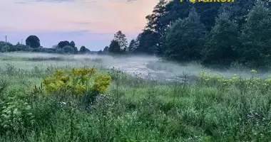 Дом в Усяжский сельский Совет, Беларусь