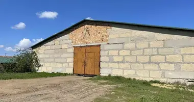 Коммерческое помещение 2 000 м² в Великий Дальник, Украина