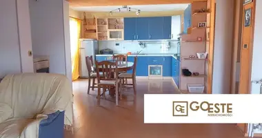 Apartamento 3 habitaciones en Opcina Dezanovac, Croacia