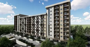 1 bedroom apartment in Podgorica, Montenegro