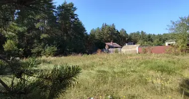 Terrain dans Hozski sielski Saviet, Bélarus