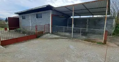 Коммерческое помещение в Novo Selo, Черногория