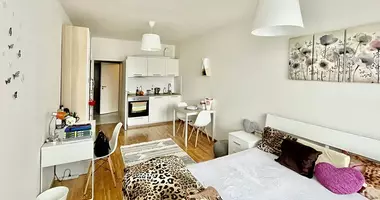 1 room apartment in Prague, Czech Republic