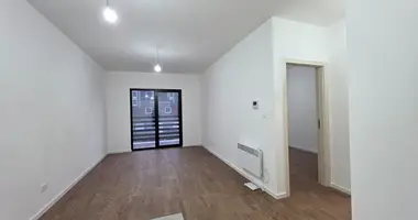 Квартира 1 спальня в Колашин, Черногория