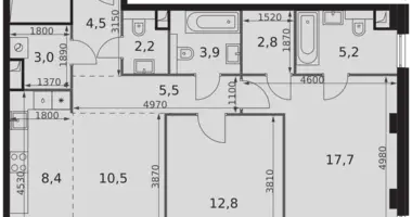 2 room apartment in Moscow, Russia