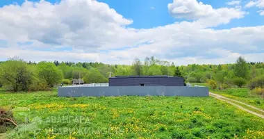 Propiedad comercial 291 m² en Januskavicki sielski Saviet, Belarús