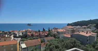Mieszkanie 2 pokoi w Petrovac, Czarnogóra