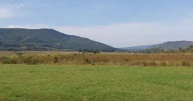 Plot of landin Nógrád, Hungary