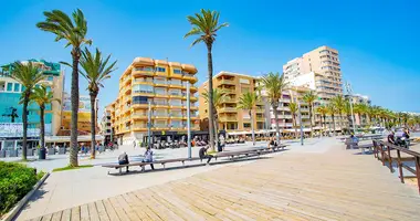 3 bedroom apartment in Torrevieja, Spain