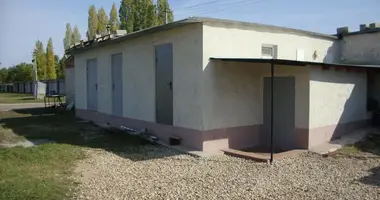 Propiedad comercial 163 m² en Sarátov, Rusia