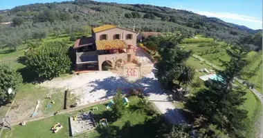 Commercial property 450 m² in Castagneto Carducci, Italy