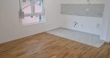 Wohnung 1 Schlafzimmer in Budva, Montenegro