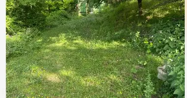 Участок земли в Сигнахи, Грузия