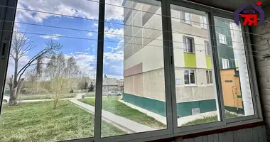 Appartement 2 chambres dans Sloutsk, Bélarus